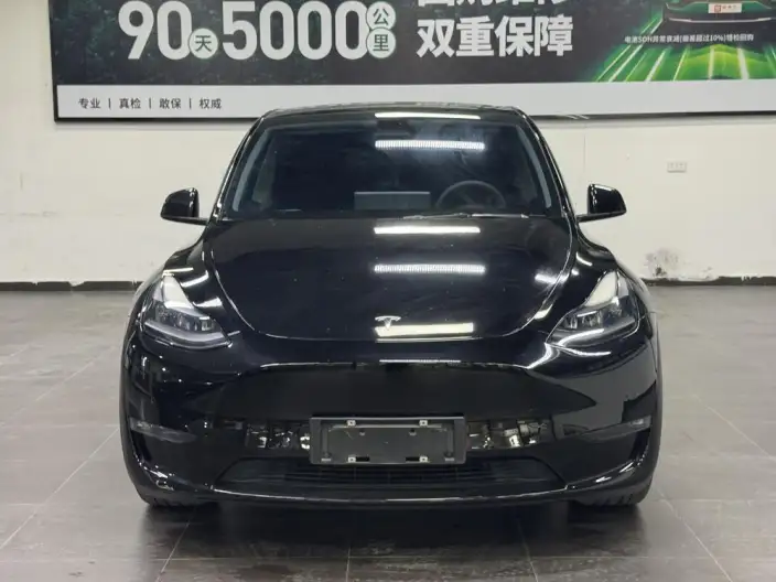 Model Y 2021 Model Long Battery Life Pro All-wheel drive version – фото 2