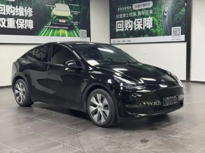 Model Y 2021 Model Long Battery Life Pro All-wheel drive version – фото 3