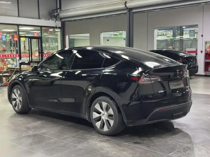 Model Y 2021 Model Long Battery Life Pro All-wheel drive version – фото 4