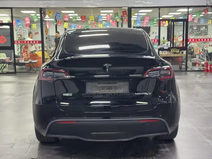 Model Y 2021 Model Long Battery Life Pro All-wheel drive version – фото 5