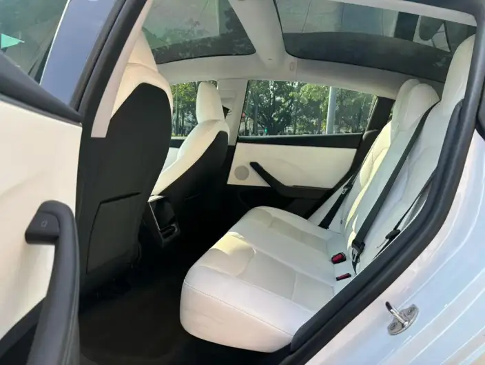 Model 3 2023 Model Rear-wheel drive version – фото 9