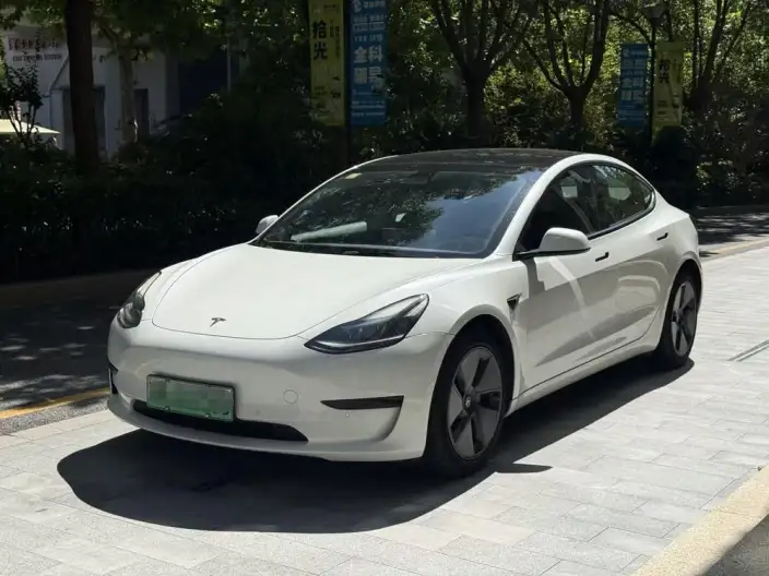 Model 3 2021 Model Standard Battery Life Rear Drive L Class Edition – фото 1