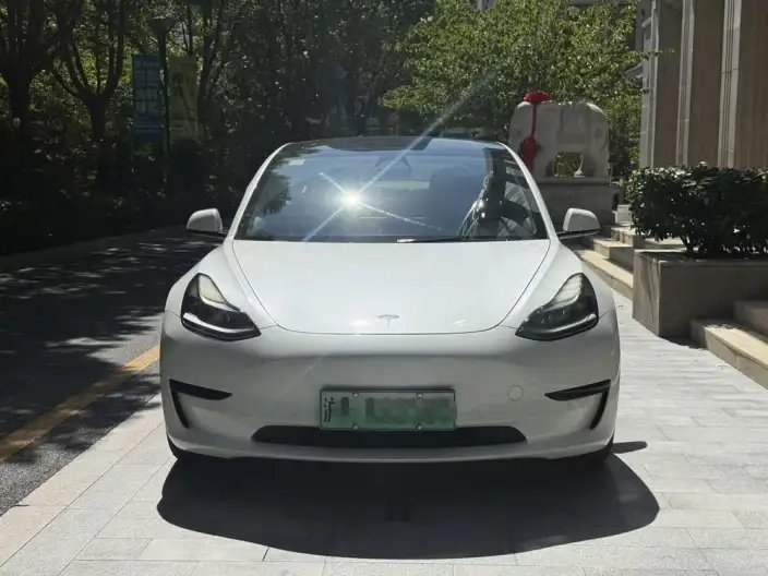 Model 3 2021 Model Standard Battery Life Rear Drive L Class Edition – фото 2