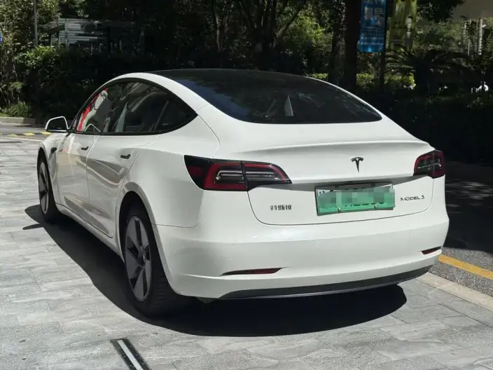 Model 3 2021 Model Standard Battery Life Rear Drive L Class Edition – фото 4
