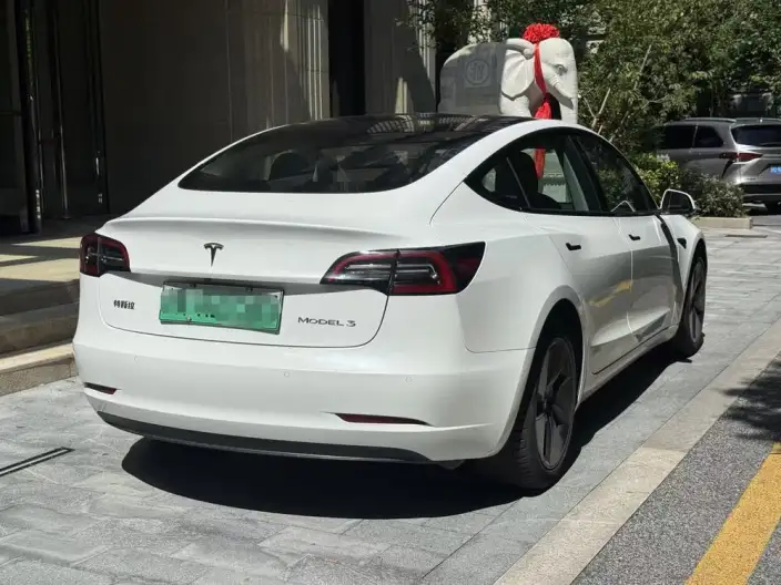 Model 3 2021 Model Standard Battery Life Rear Drive L Class Edition – фото 5