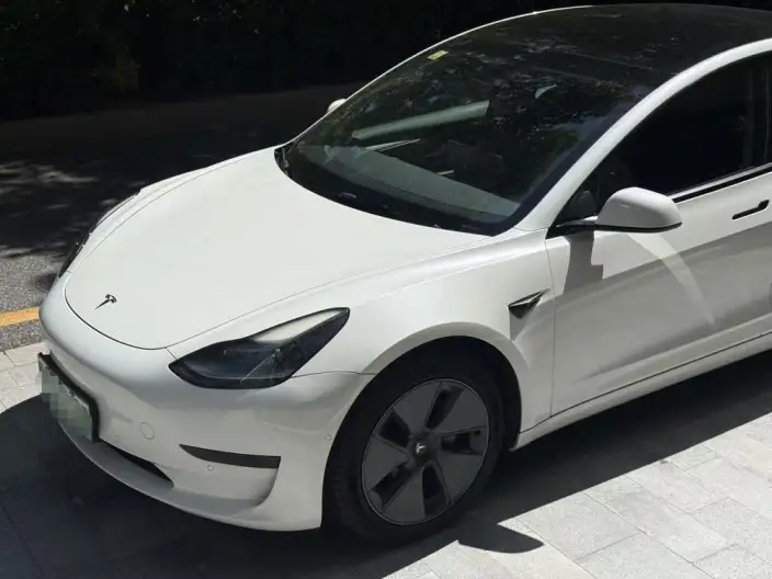 Model 3 2021 Model Standard Battery Life Rear Drive L Class Edition – фото 10