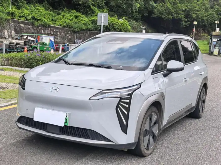 AION Y 2023 Model Plus 610 Lexiang Edition Ternary lithium – фото 1