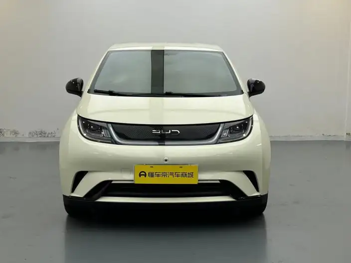 BYD Dolphin 2025 Model 420KM Free Edition – фото 2
