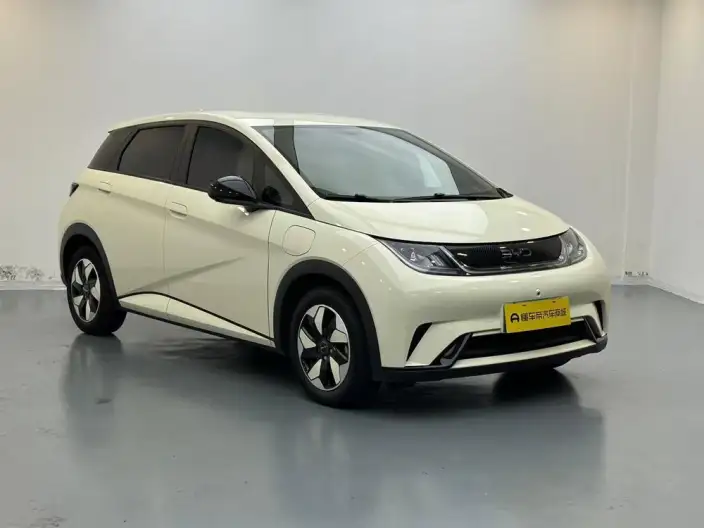 BYD Dolphin 2025 Model 420KM Free Edition – фото 3