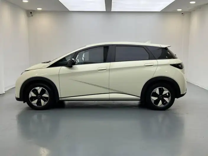BYD Dolphin 2025 Model 420KM Free Edition – фото 4