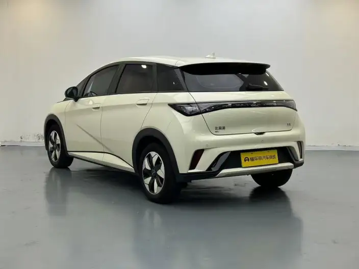 BYD Dolphin 2025 Model 420KM Free Edition – фото 5