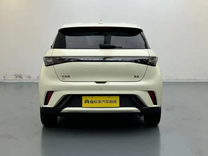 BYD Dolphin 2025 Model 420KM Free Edition – фото 6