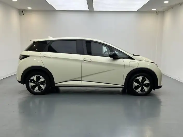 BYD Dolphin 2025 Model 420KM Free Edition – фото 8