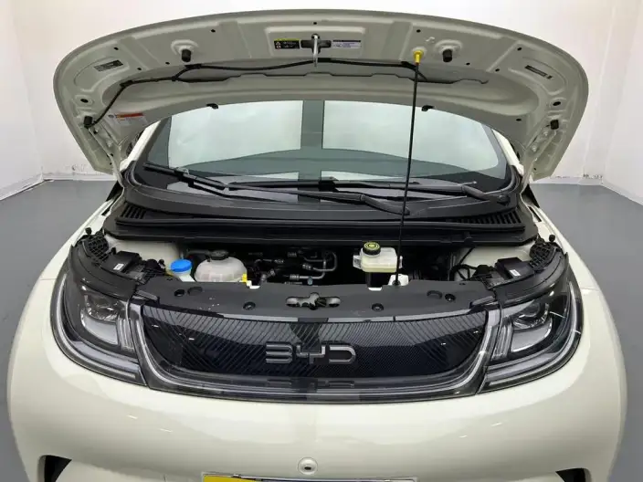 BYD Dolphin 2025 Model 420KM Free Edition – фото 10