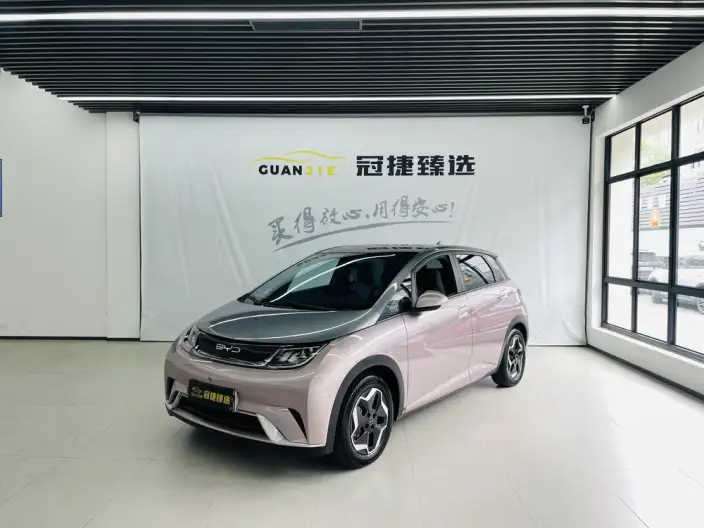 BYD Dolphin 2021 Model Fashion Edition – фото 1