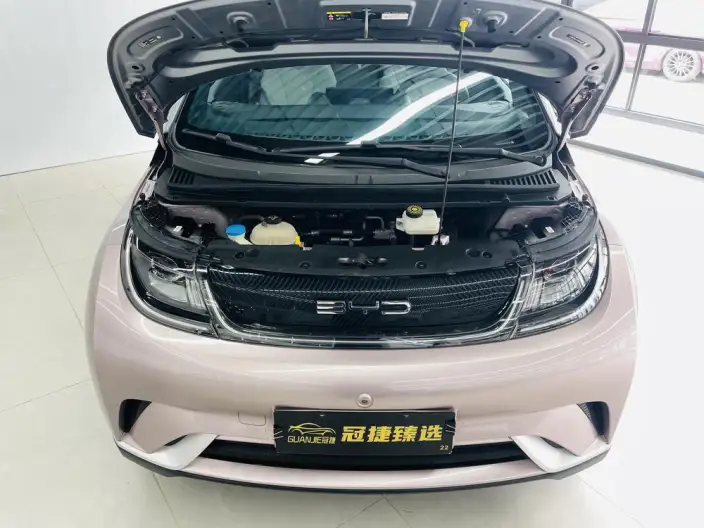 BYD Dolphin 2021 Model Fashion Edition – фото 2