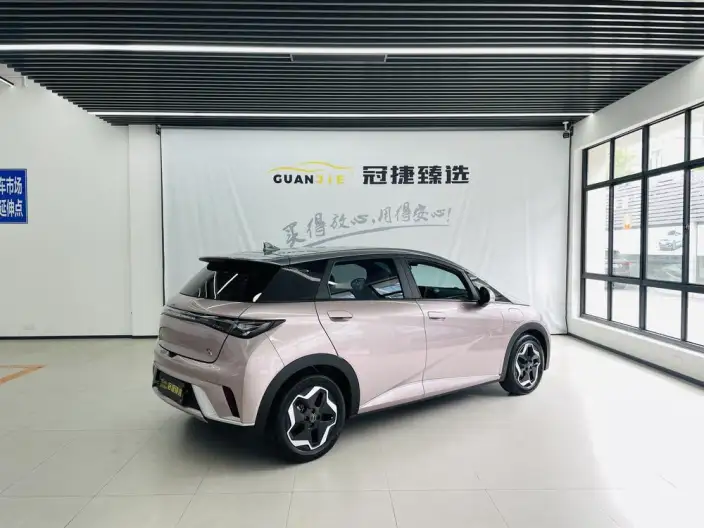 BYD Dolphin 2021 Model Fashion Edition – фото 3