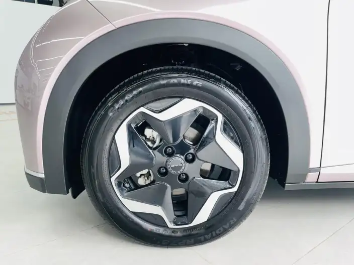 BYD Dolphin 2021 Model Fashion Edition – фото 4