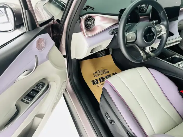 BYD Dolphin 2021 Model Fashion Edition – фото 6