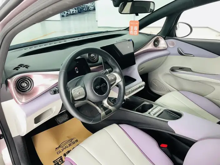 BYD Dolphin 2021 Model Fashion Edition – фото 9