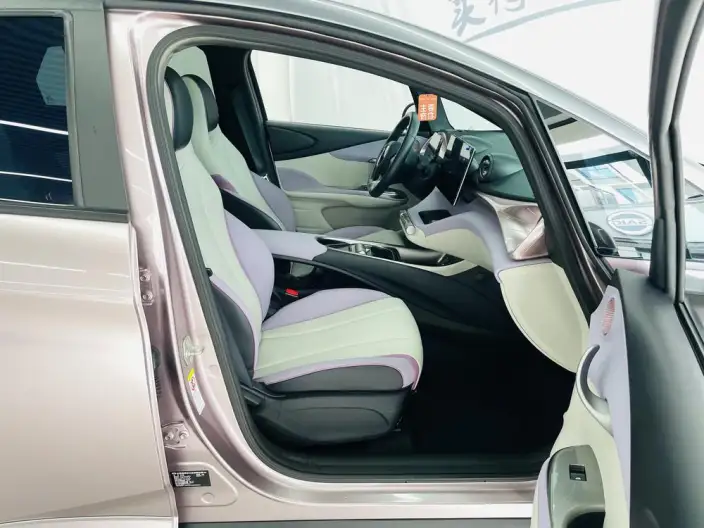 BYD Dolphin 2021 Model Fashion Edition – фото 10