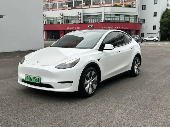 Model Y 2021 Model Long Battery Life Pro All-wheel drive version – фото 1