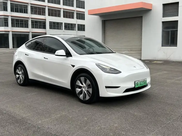 Model Y 2021 Model Long Battery Life Pro All-wheel drive version – фото 3