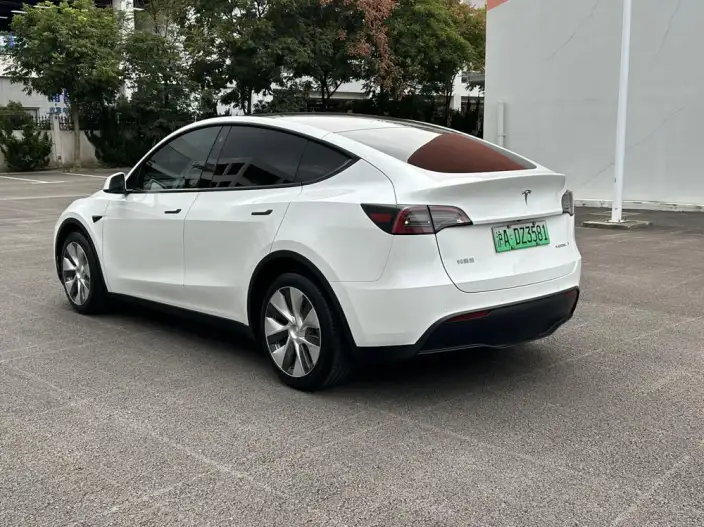 Model Y 2021 Model Long Battery Life Pro All-wheel drive version – фото 4
