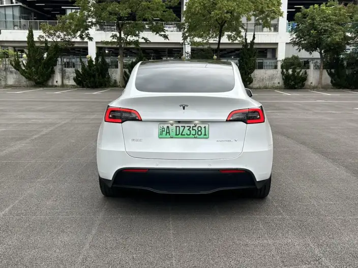 Model Y 2021 Model Long Battery Life Pro All-wheel drive version – фото 5