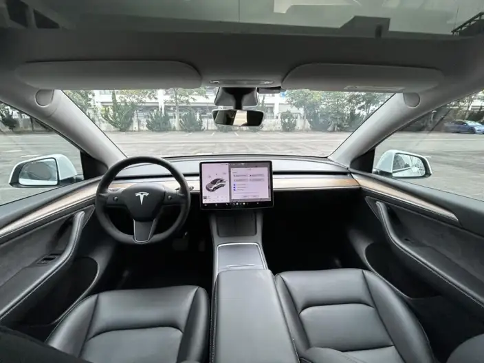 Model Y 2021 Model Long Battery Life Pro All-wheel drive version – фото 9