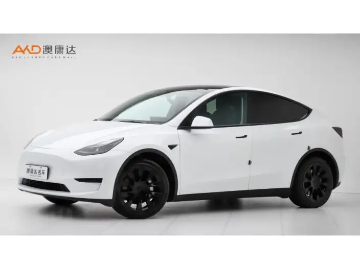 Model Y 2022 Model Facelift Rear-wheel drive version – фото 1