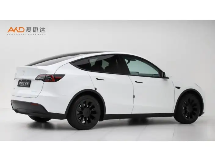 Model Y 2022 Model Facelift Rear-wheel drive version – фото 4
