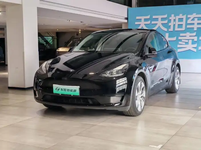 Model Y 2022 Model Rear-wheel drive version – фото 1