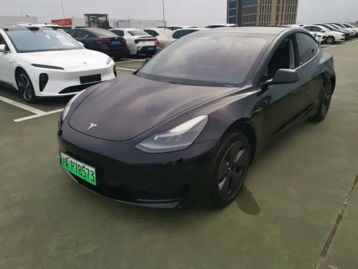 Model 3 2021 Model Standard Battery Life Rear Drive L Class Edition – фото 1