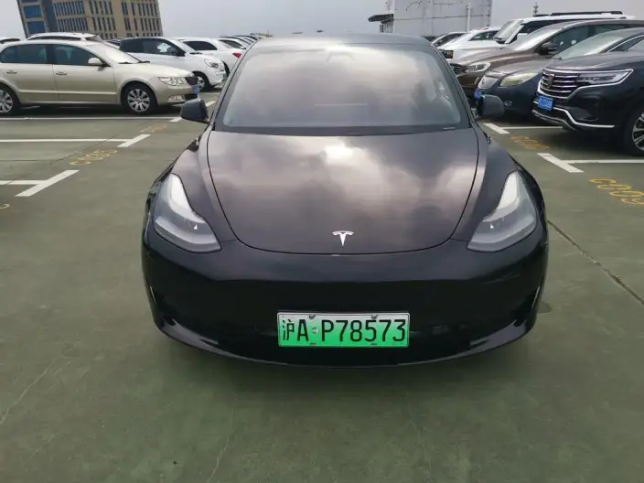 Model 3 2021 Model Standard Battery Life Rear Drive L Class Edition – фото 2