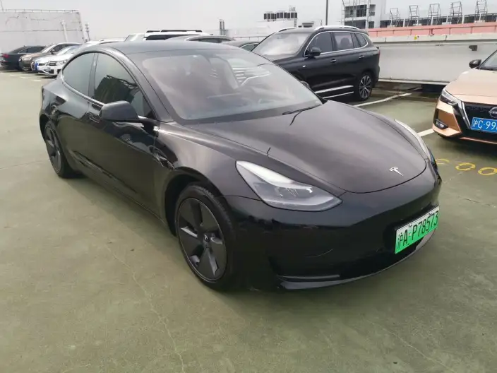 Model 3 2021 Model Standard Battery Life Rear Drive L Class Edition – фото 3