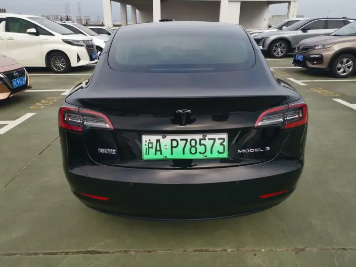 Model 3 2021 Model Standard Battery Life Rear Drive L Class Edition – фото 5
