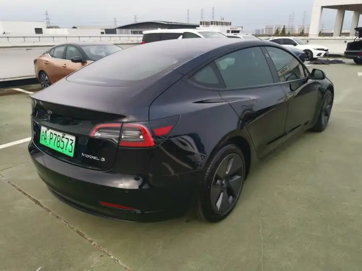 Model 3 2021 Model Standard Battery Life Rear Drive L Class Edition – фото 6