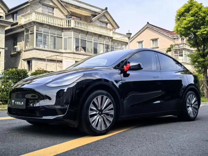 Model Y 2021 Model Standard Battery Life Rear-wheel drive version – фото 1