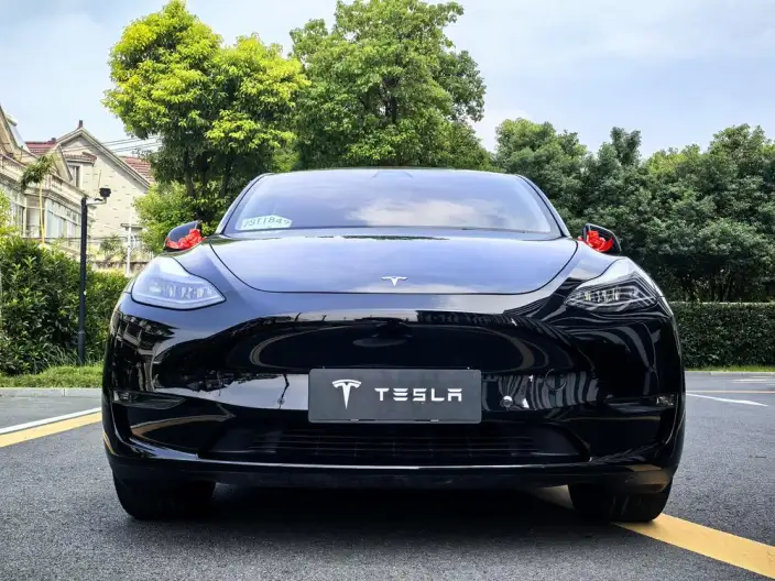 Model Y 2021 Model Standard Battery Life Rear-wheel drive version – фото 2