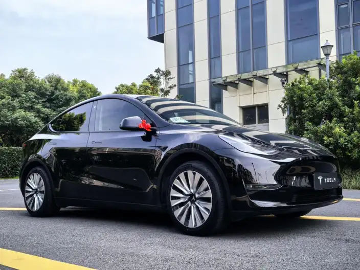 Model Y 2021 Model Standard Battery Life Rear-wheel drive version – фото 3