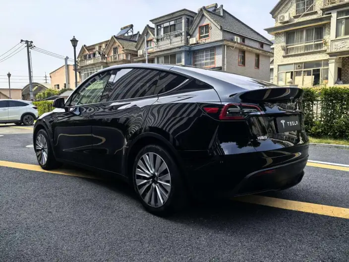 Model Y 2021 Model Standard Battery Life Rear-wheel drive version – фото 4
