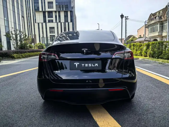 Model Y 2021 Model Standard Battery Life Rear-wheel drive version – фото 5