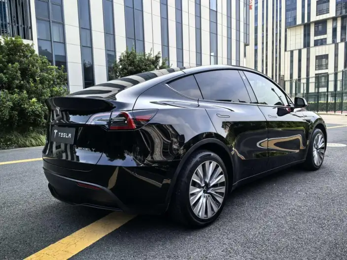 Model Y 2021 Model Standard Battery Life Rear-wheel drive version – фото 6