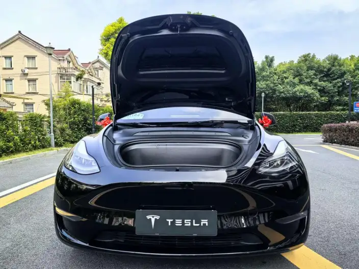 Model Y 2021 Model Standard Battery Life Rear-wheel drive version – фото 8