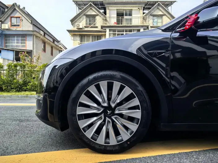Model Y 2021 Model Standard Battery Life Rear-wheel drive version – фото 10