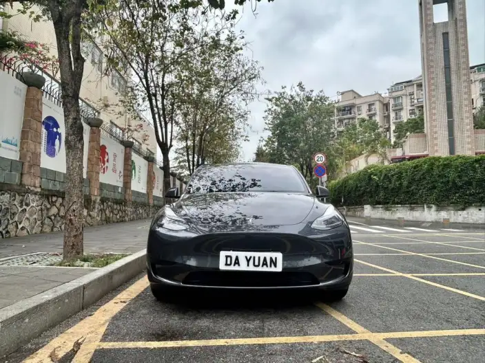 Model Y 2024 Model Rear-wheel drive version – фото 2