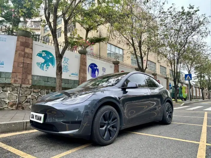 Model Y 2024 Model Rear-wheel drive version – фото 8