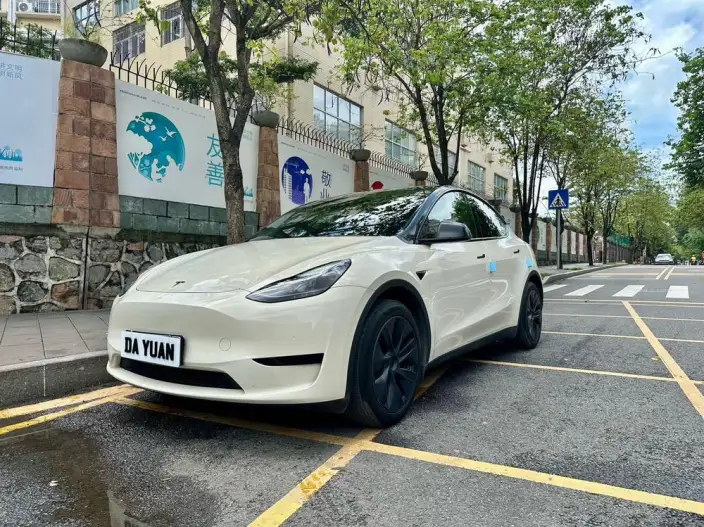 Model Y 2023 Model Rear-wheel drive version – фото 1