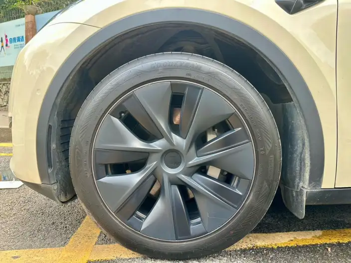 Model Y 2023 Model Rear-wheel drive version – фото 10